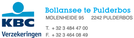Goud - Geert Bollansee